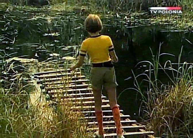 Dziewczyna i chłopak (1980)
