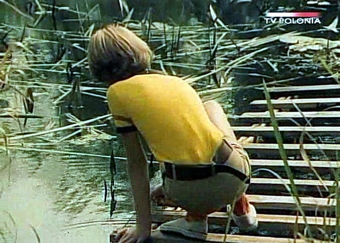 Dziewczyna i chłopak (1980)