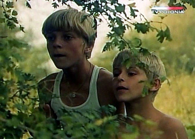 Dziewczyna i chłopak (1980)