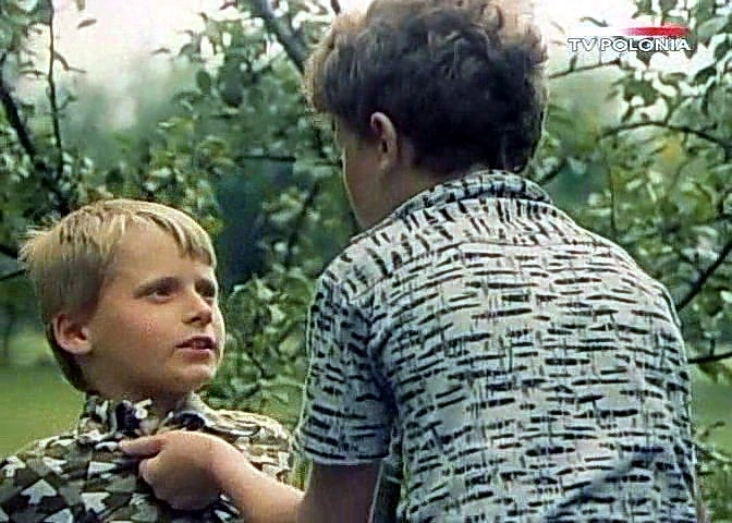 Dziewczyna i chłopak (1980)