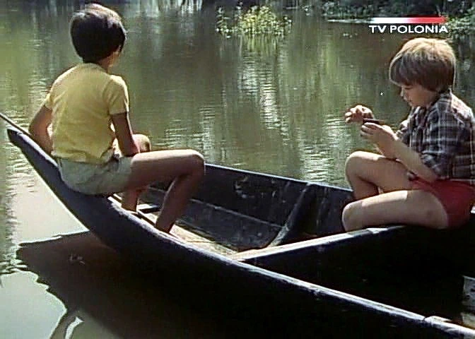 Dziewczyna i chłopak (1980)