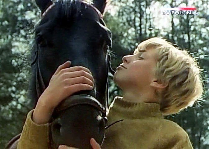 Dziewczyna i chłopak (1980)