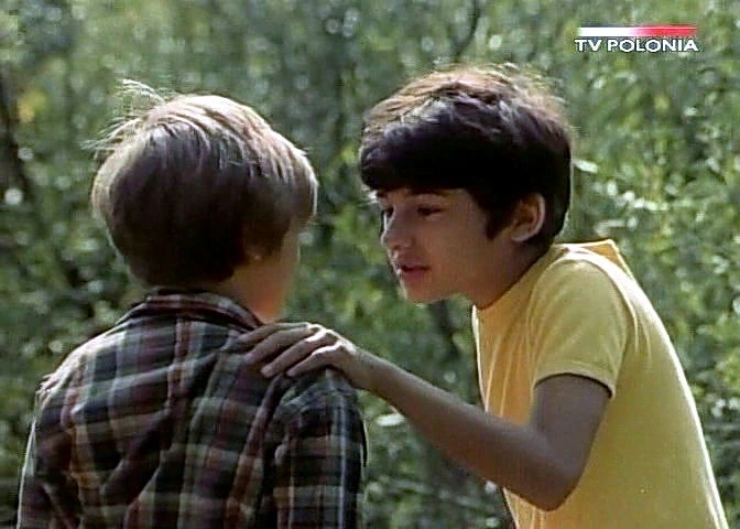 Dziewczyna i chłopak (1980)