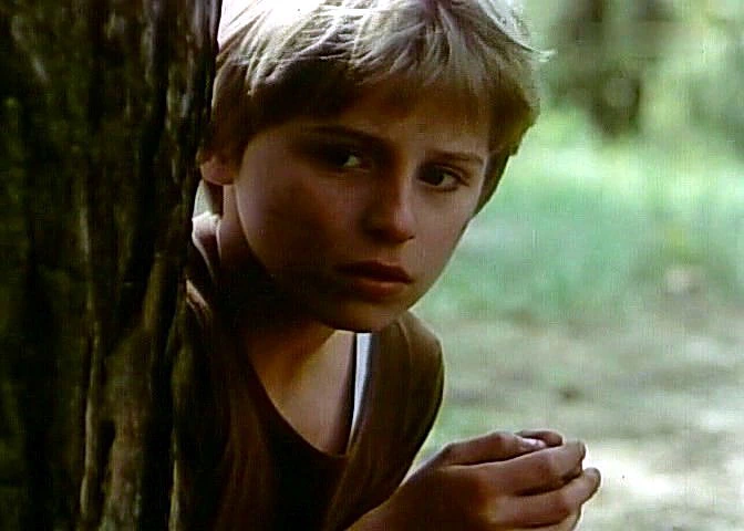 Dziewczyna i chłopak (1980)