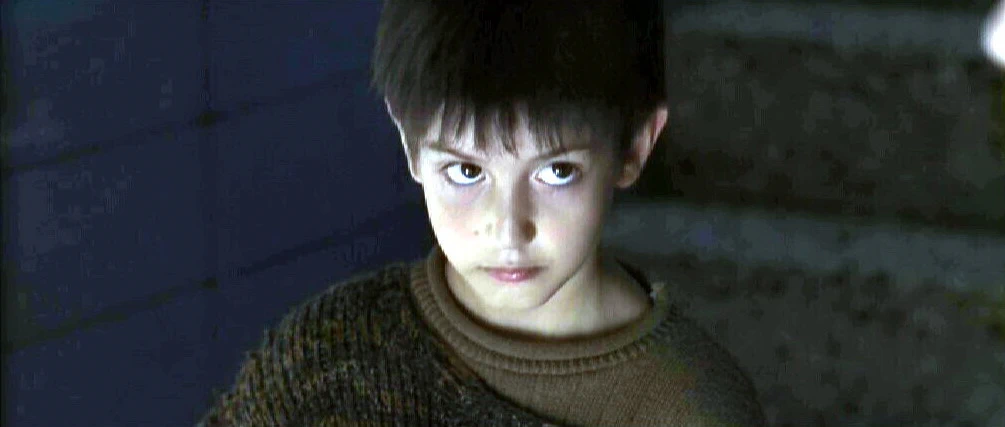 Arman Inci