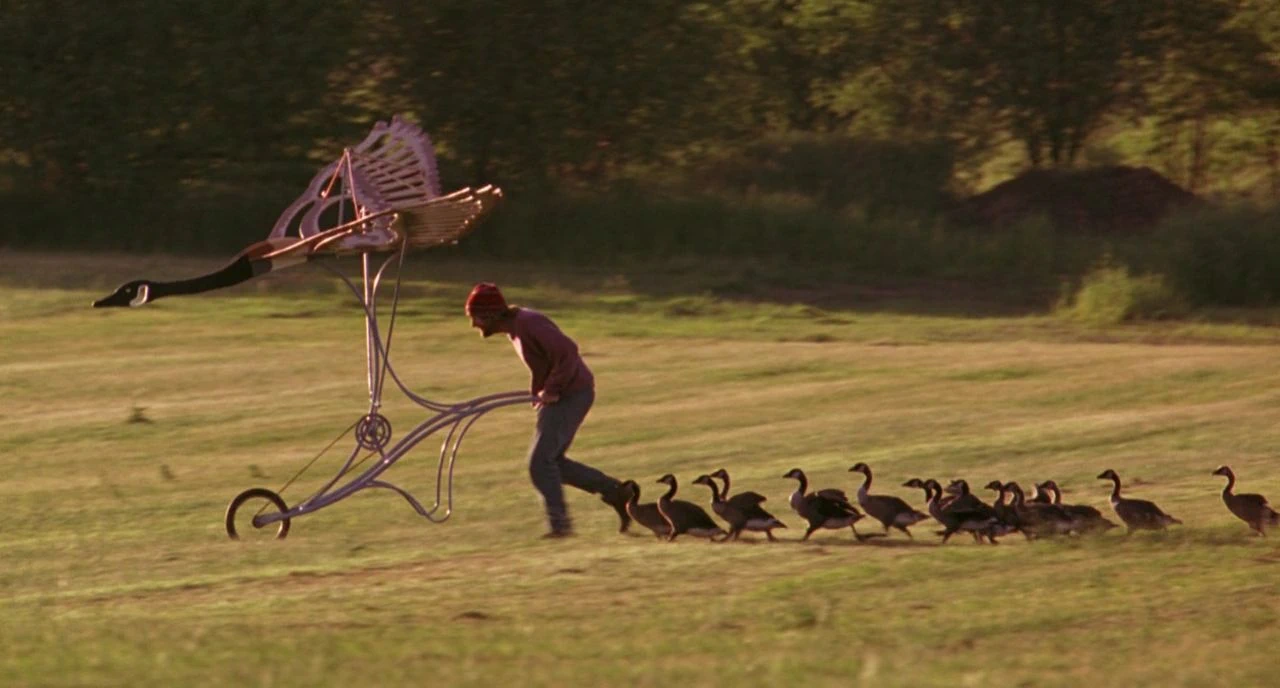 Fly Away Home (1996)
