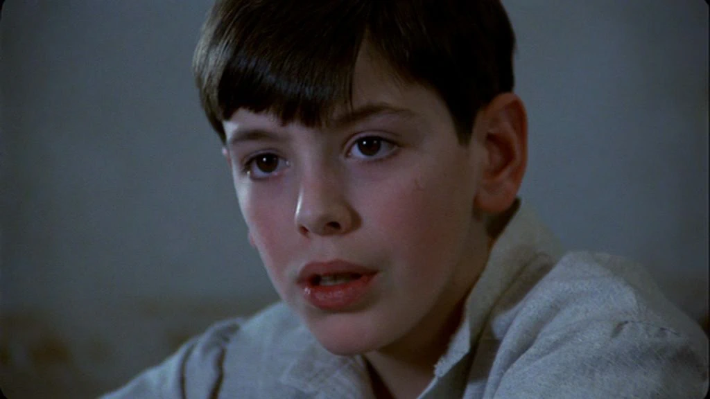 Fanny and Alexander (1982)