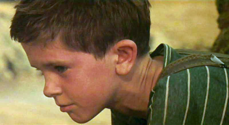 Freddie Highmore