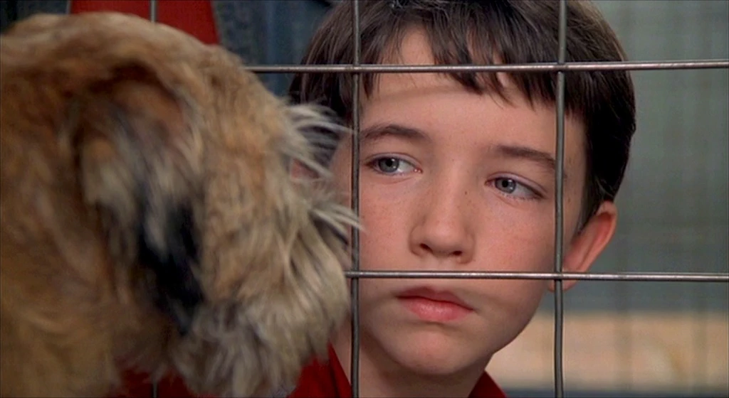 Liam Aiken