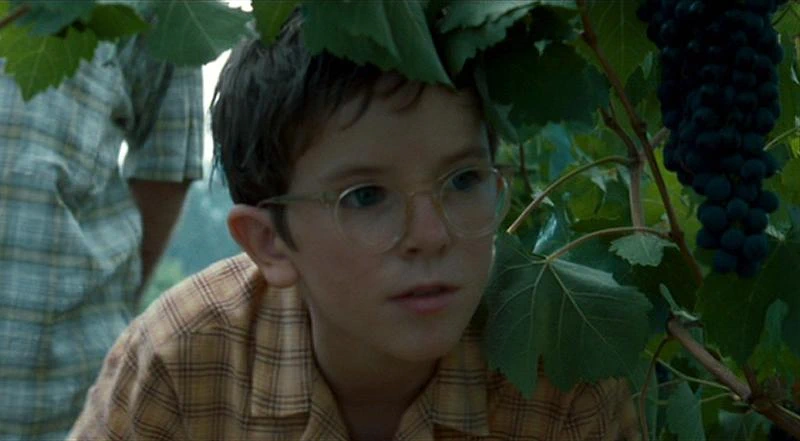 Freddie Highmore