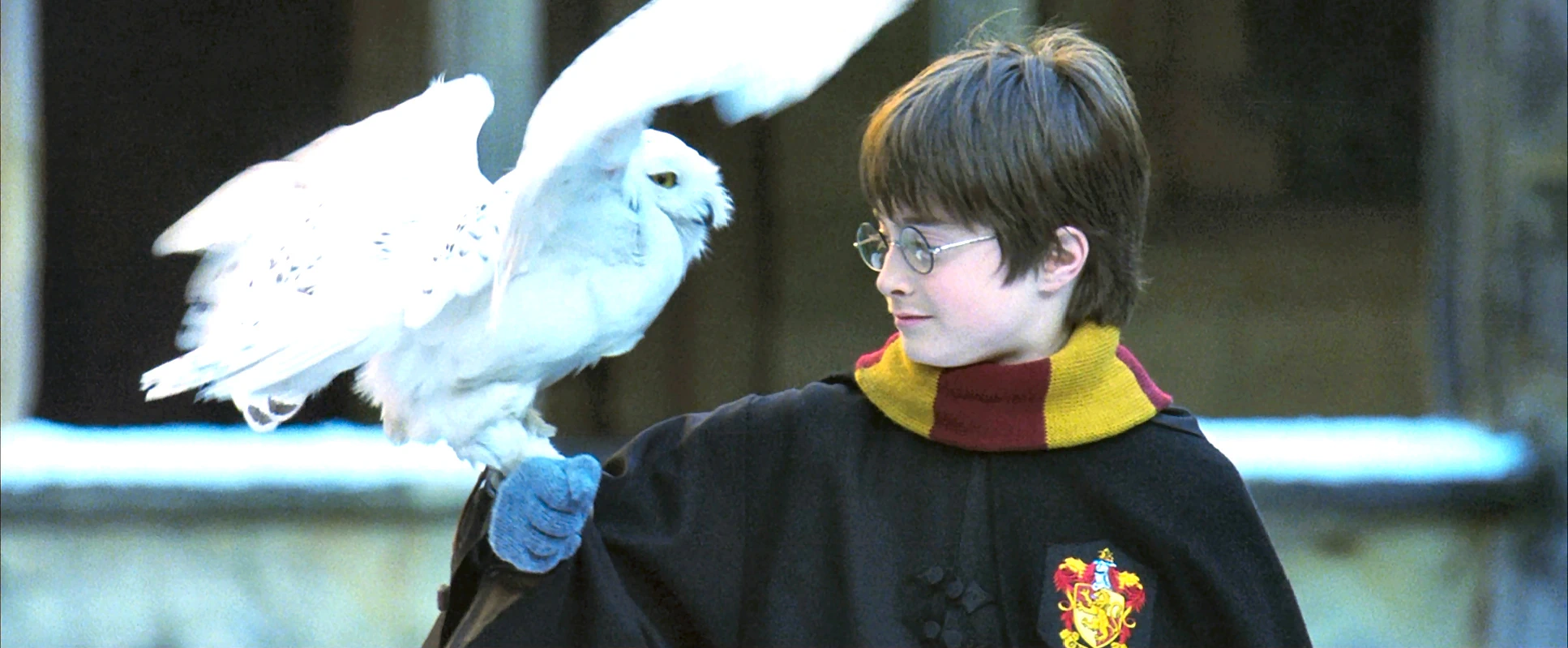 Daniel Radcliffe
