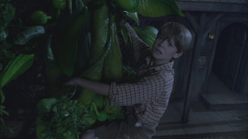 Colin Ford