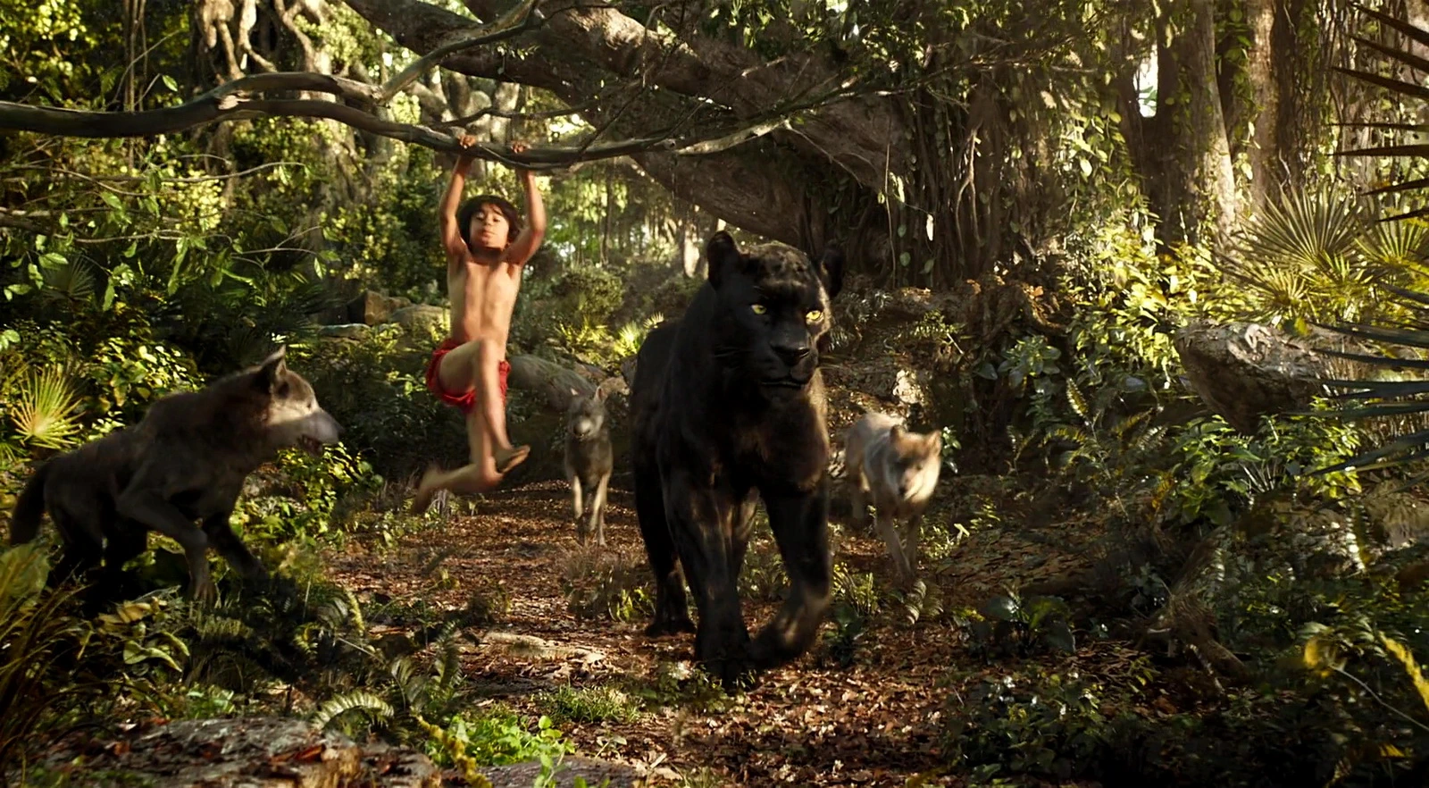 Neel Sethi