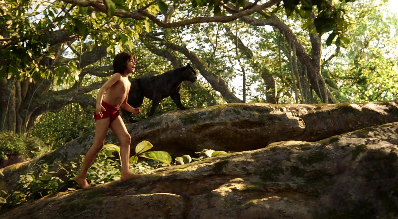 Neel Sethi