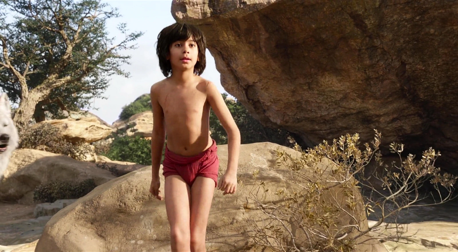 Neel Sethi