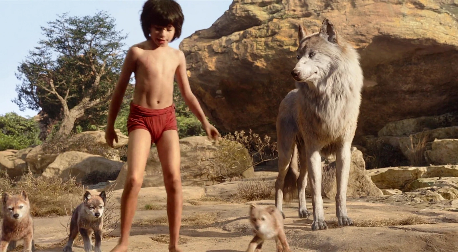 Neel Sethi