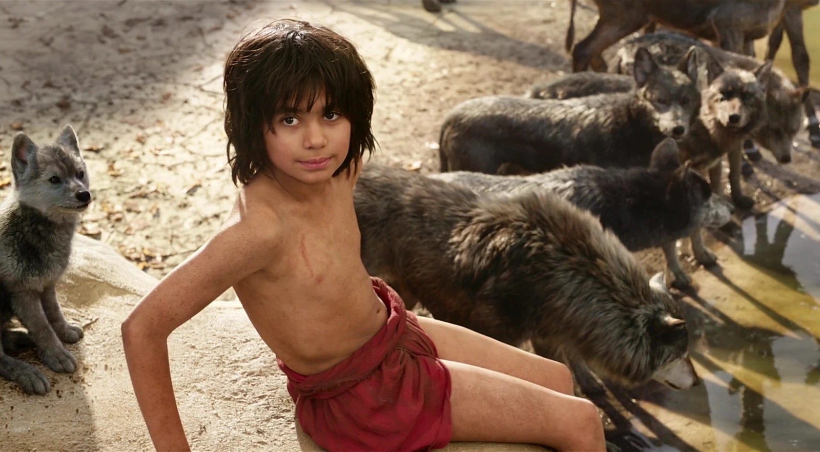 Neel Sethi