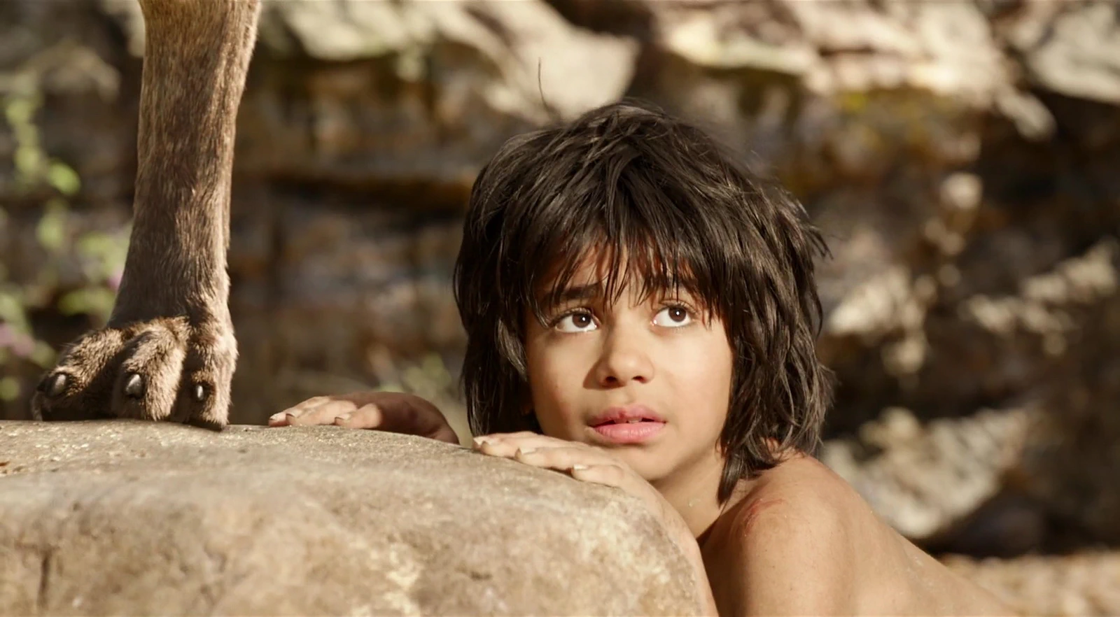 Neel Sethi