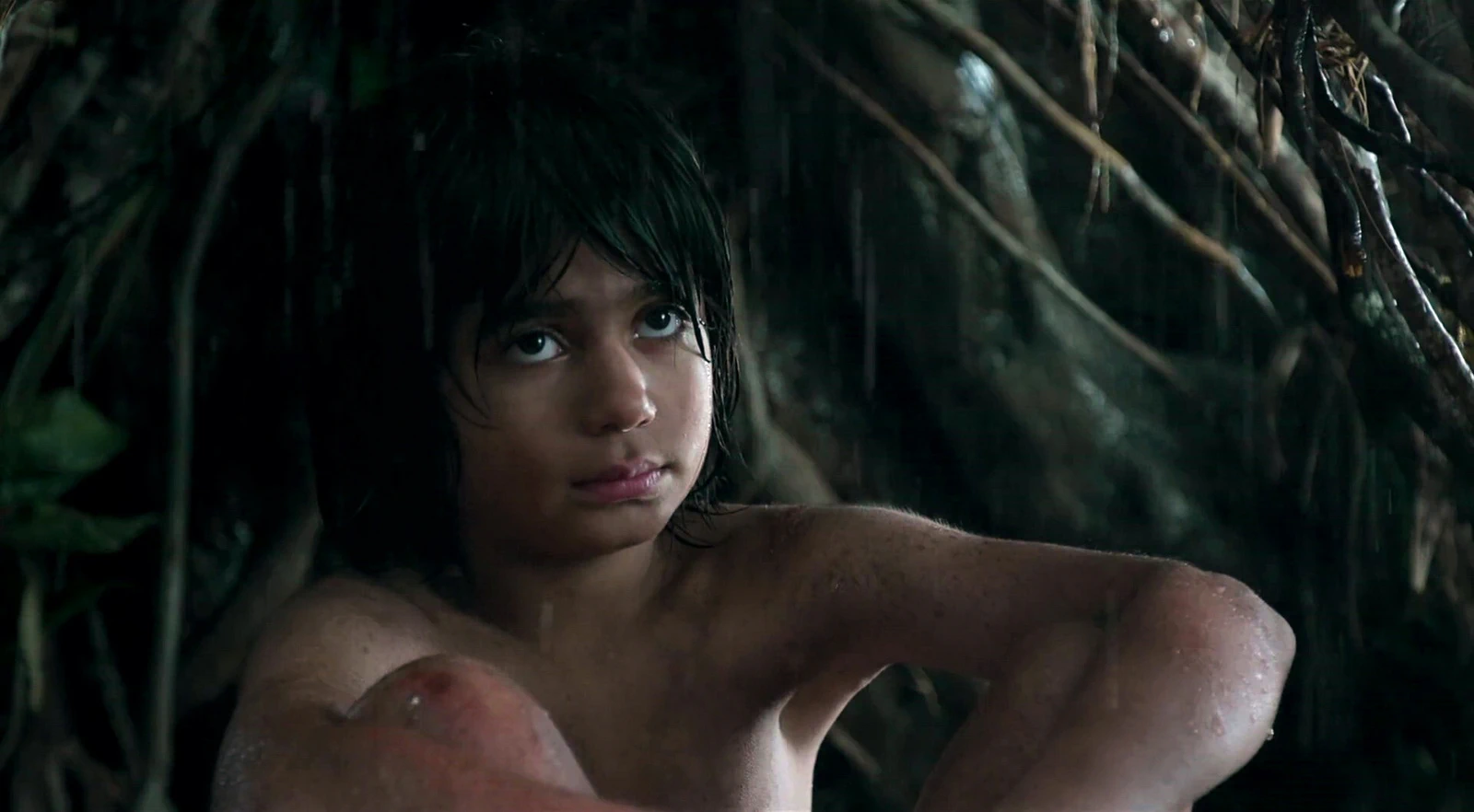 Neel Sethi