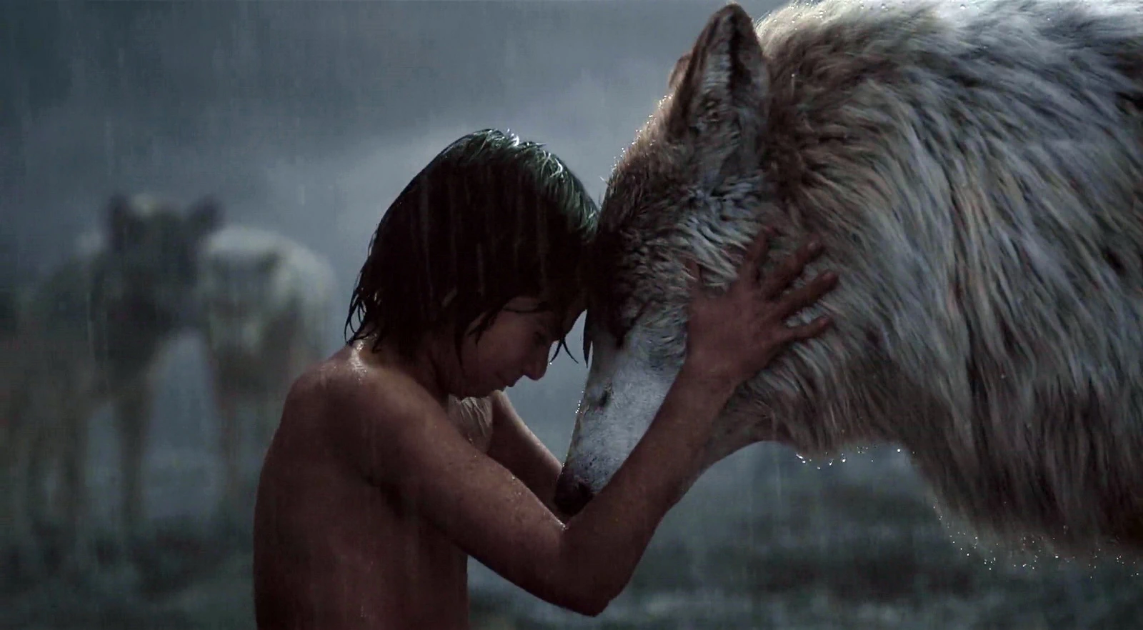 Neel Sethi