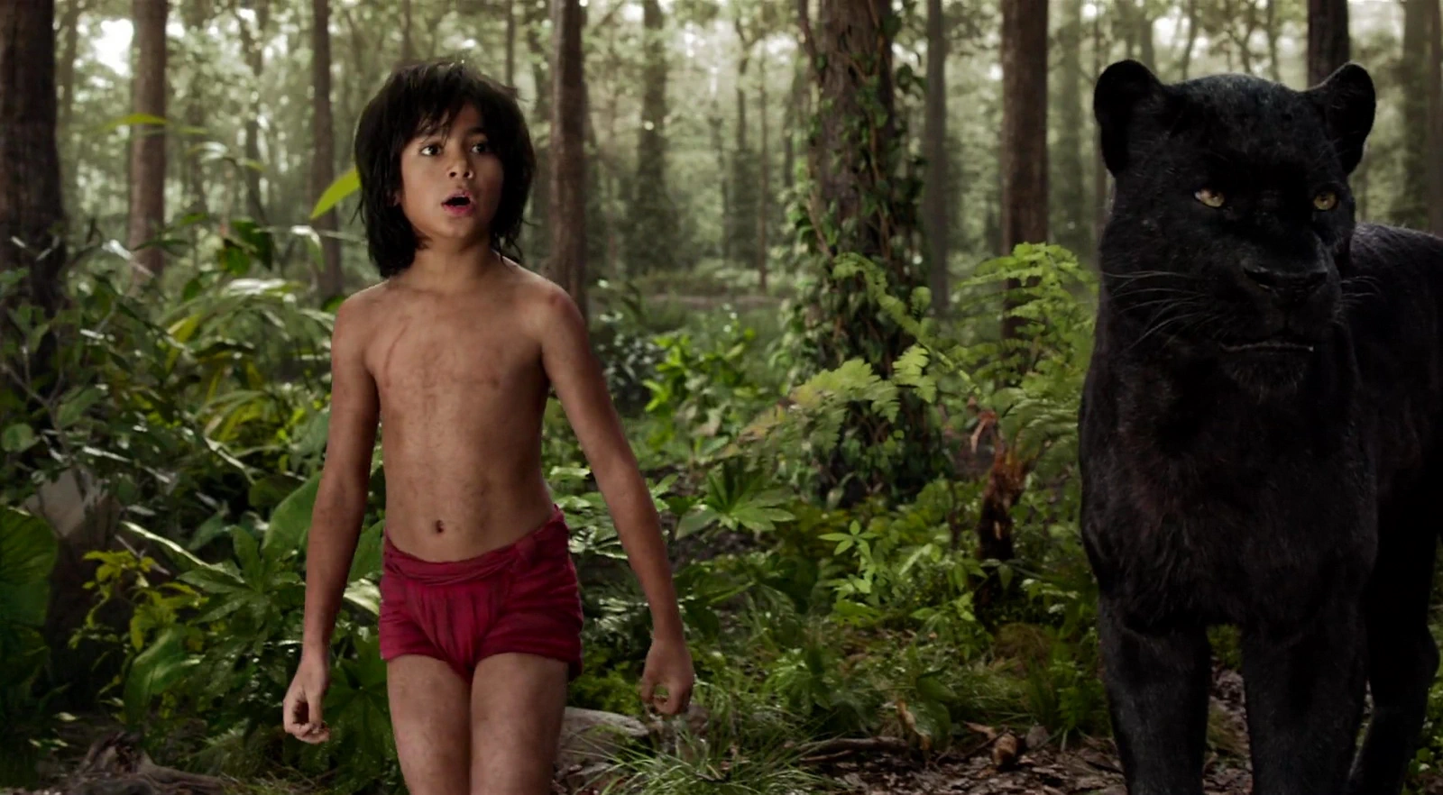 Neel Sethi