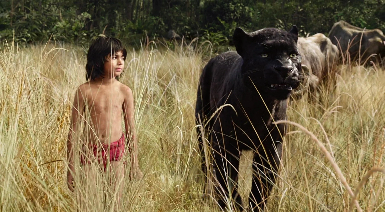 Neel Sethi