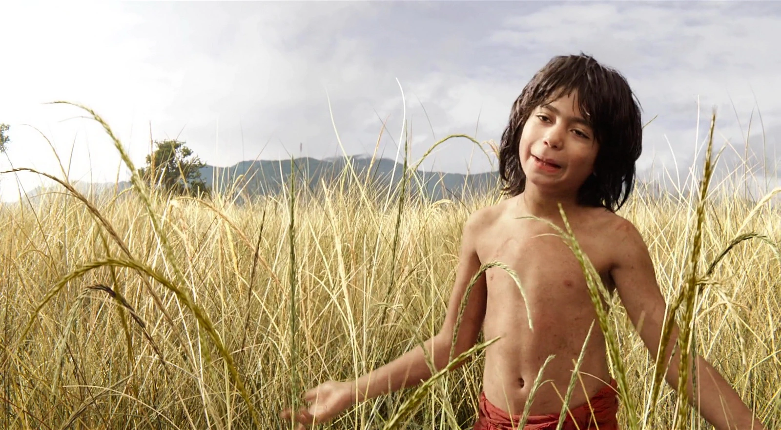 Neel Sethi