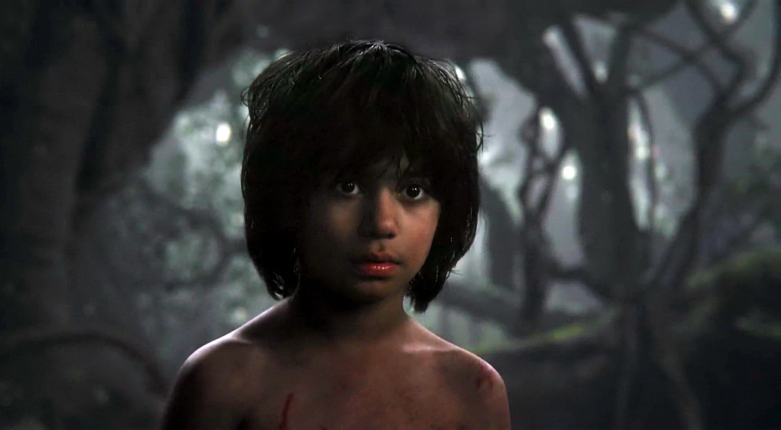Neel Sethi