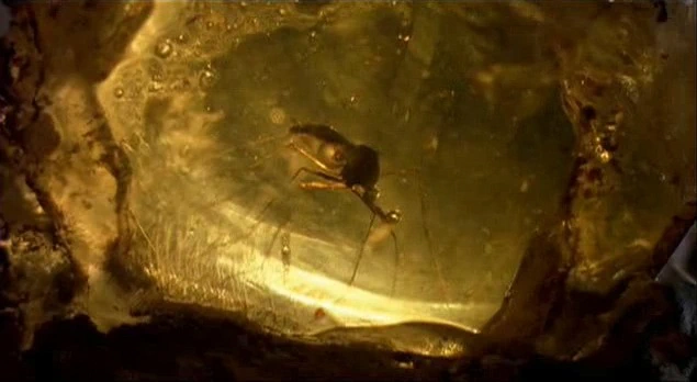 Jurassic Park (1993)