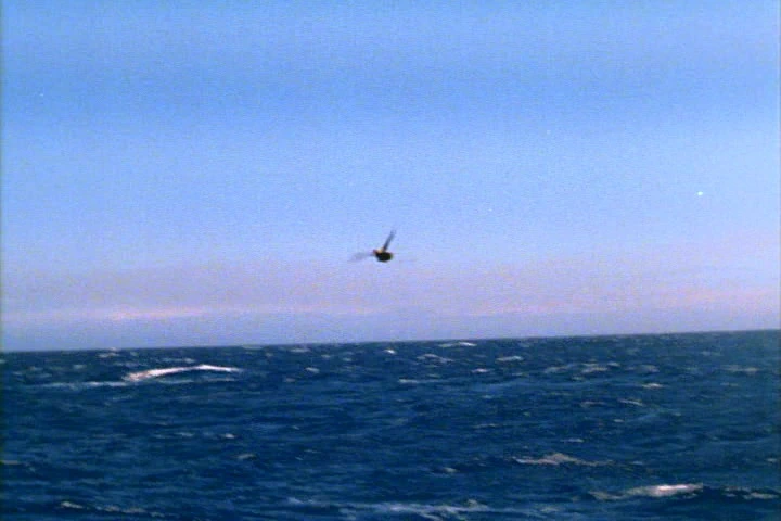 The Last Flight of Noah's Ark (1980)