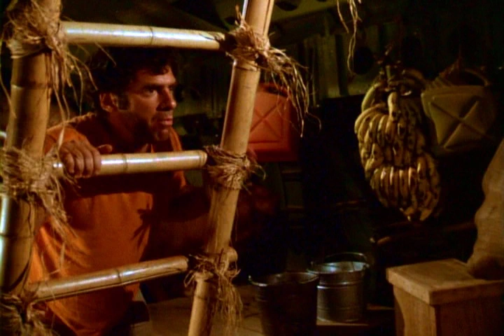 The Last Flight of Noah's Ark (1980)