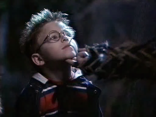 Jonathan Lipnicki