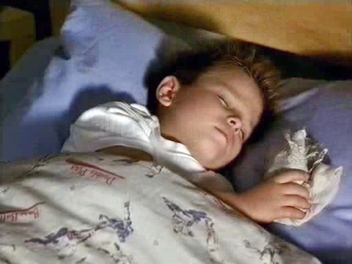 Jonathan Lipnicki