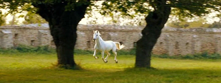 The Thief Lord (2006)