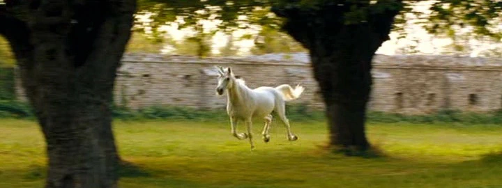 The Thief Lord (2006)