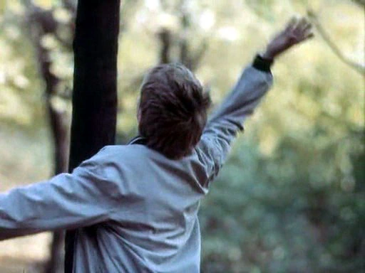 Малявкин и компания (1986)