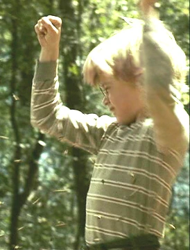 Macaulay Culkin