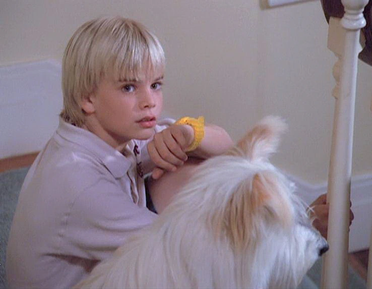 David Gallagher