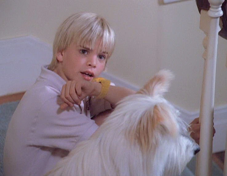 David Gallagher