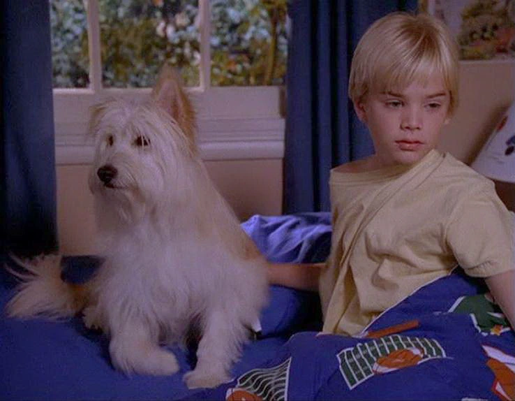 David Gallagher