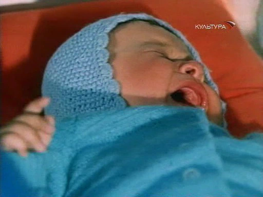 С кошки всё и началось (1982)