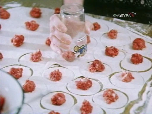С кошки всё и началось (1982)