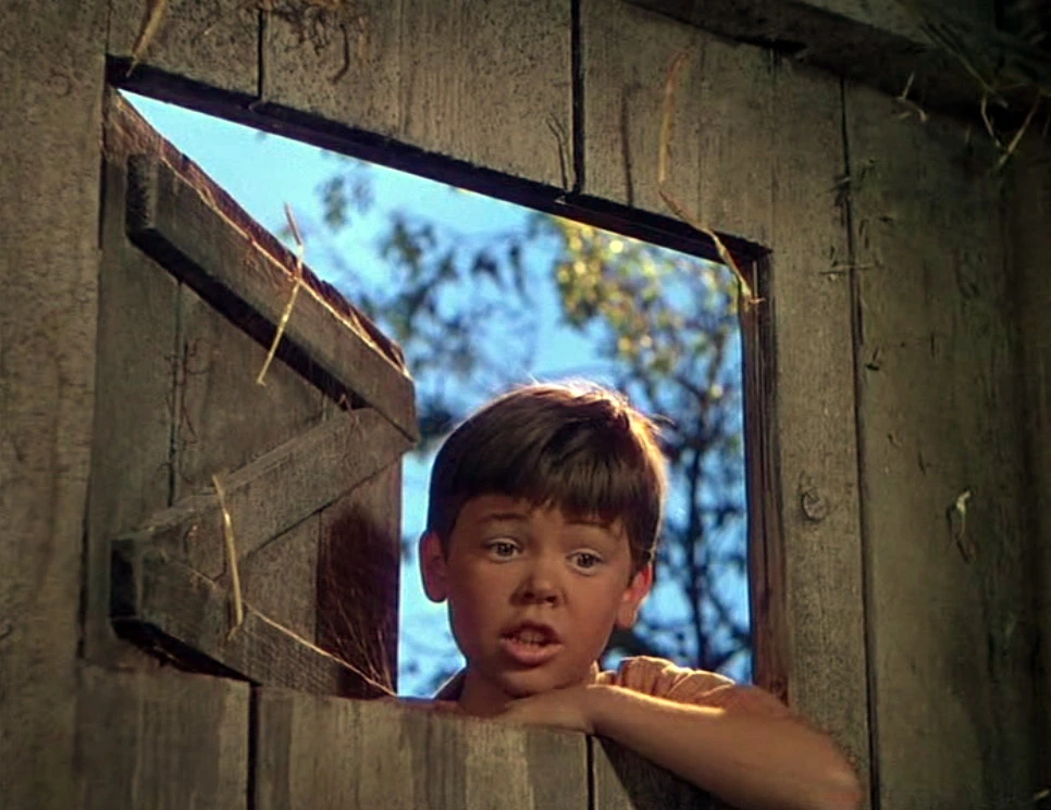 Bobby Driscoll