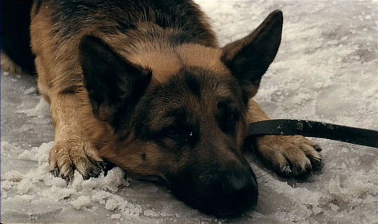Спартак и Калашников (2002)