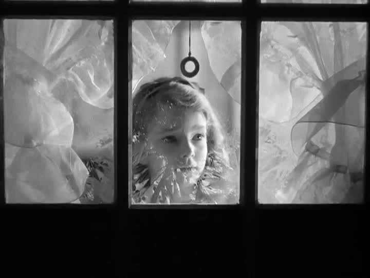 Ann Carter