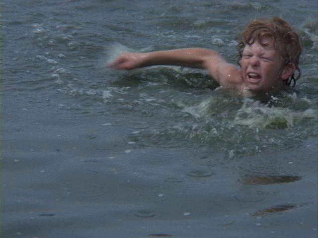 Johnny Whitaker