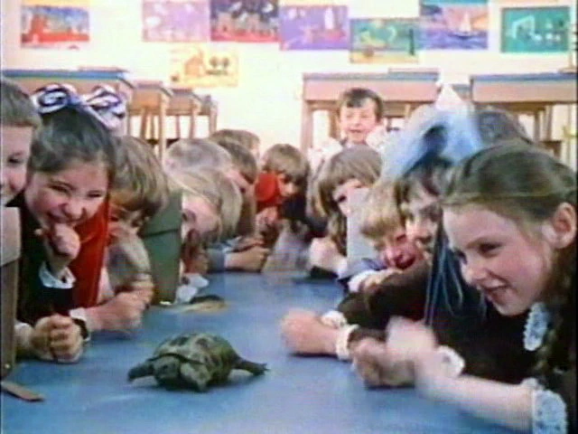 Внимание, черепаха! (1969)