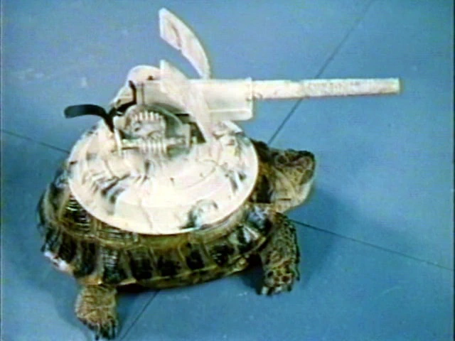 Внимание, черепаха! (1969)