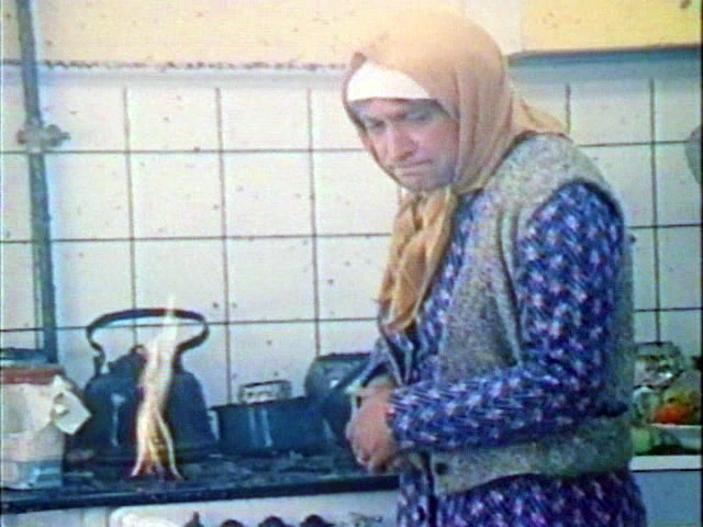 Внимание, черепаха! (1969)