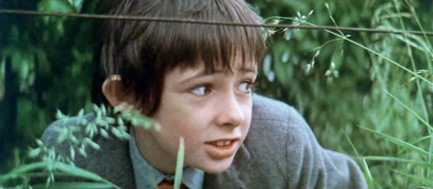 Paul Moss